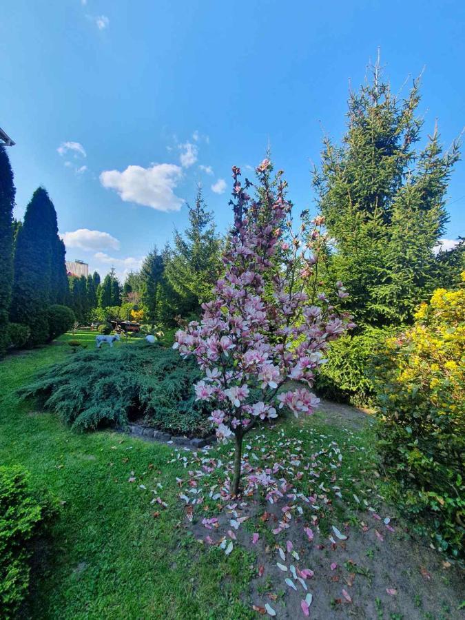 Hotel Дом Для Души С Бассейном Целиком Winnyzja Exterior foto